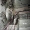 8esidesss (feat. YOHEI_نقره خدا) - _s1lv3r_ lyrics
