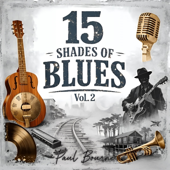 15 Shades of Blues, Vol. 2 (Paul Bourne)