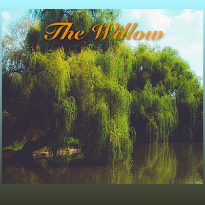 The Willow (feat. Aerhalev, Jim Lawlor, Mike Sanders & Phillipe Pansard) - Single
