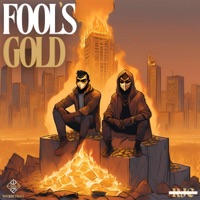 Fool's Gold (feat. RJC Productions) - Single - BWhereYouAt