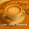 Vinyl Jazz Relaxation - Lofi Jazz Terrace