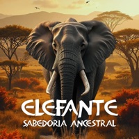 Elefante Sabedoria Ancestral - Single - Tribo do Jaguar