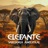 Elefante Sabedoria Ancestral