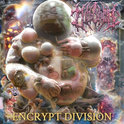 ENCRYPT DIVISION - Single
