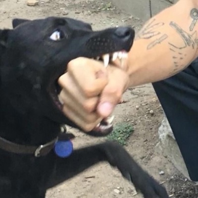 on me (feat. ankle & zatru) - Single