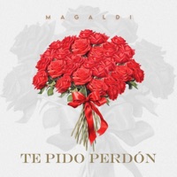 TE PIDO PERDON - Single - Magaldi