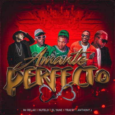 Amante Perfecto (feat. Nutelo Fresh, Anthony J, Mr Relax & Trac3y) - Single