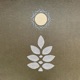 Florestral Single