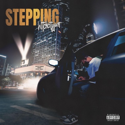 STEPPING - Single
