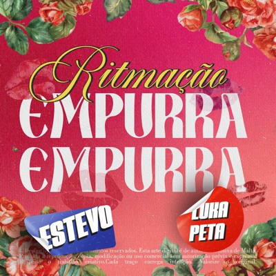 Ritmação Empurra Empurra (feat. Estevo, CACAU CHUU & Mc DDSV) - Single