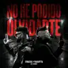 NO HE PODIDO OLVIDARTE