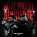 NO HE PODIDO OLVIDARTE