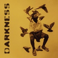 Darkness - Single - Overdope