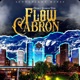 Flow C n Single