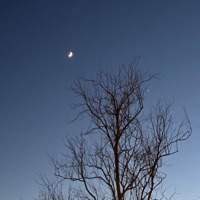 Untouchable - Single - GABE