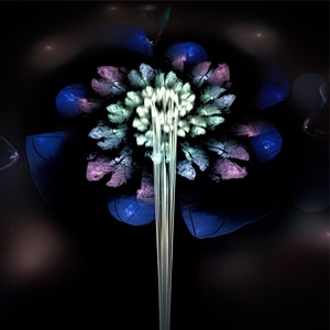 Celestial Chakra Bloom