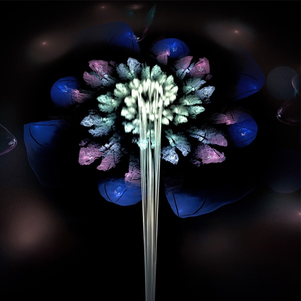 Celestial Chakra Bloom