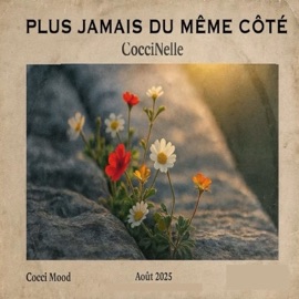 Plus jamais du même côté Coccinelle