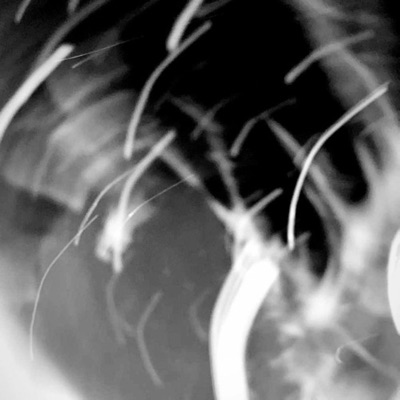 STFU (feat. Hatchetsaw) - Single