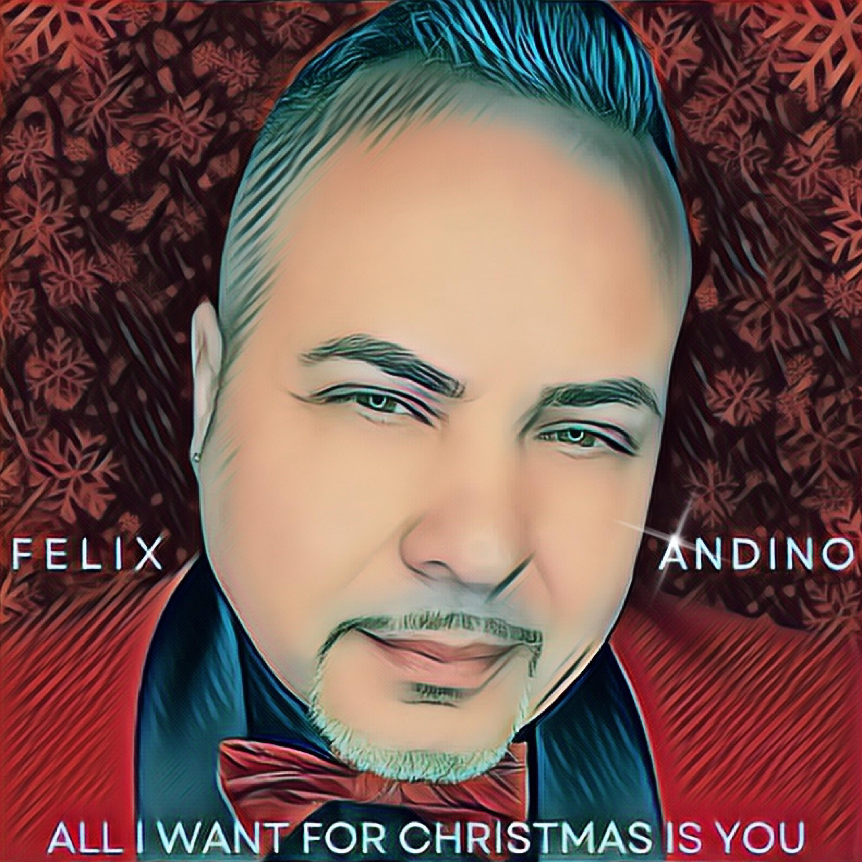 All I Want For Christmas Is You - Single