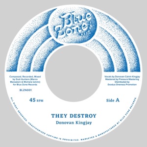 They Destroy (feat. Dub Hunters) - Single