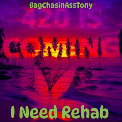 I Need Rehab (feat. Mr. Black, Boogi3 & SkyWalker) - Single