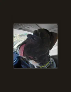 E.Coli Aka Dr.Drewを聴いたり、ミュージックビデオを鑑賞したり、経歴やツアー日程などを確認したりしましょう！