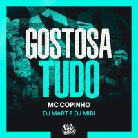Gostosa Tudo - Single - Mc Copinho & Dj Mart