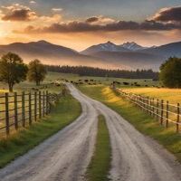 Cows Come Home - Single - Nic D & Nate Good