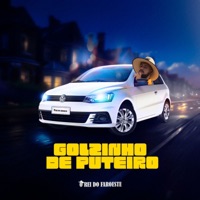 Golzinho de Puteiro - Single - O Rei do Faroeste
