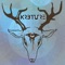 Shapeshifter (feat. Zoe Boekbinder & Chris Lynch) - KR3TURE lyrics