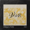 Voar (Live)