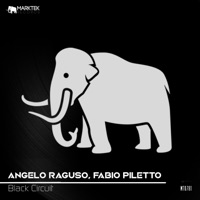 Black Circuit - Single - Angelo Raguso & Fabio Piletto