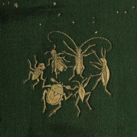 Жизнь насекомых - Single - Rigos