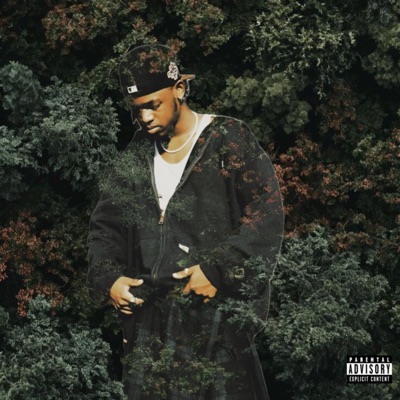 Where There's $moke There's Fire