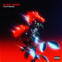 Slow Down - Single - FlexTheKidd