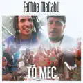 Família Macabu