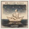 Bir Cevabi Olmali