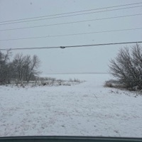 Frozen Lake (feat. Astrall!) - Single - HO11OW