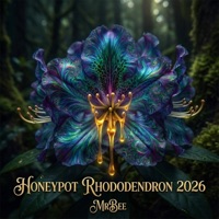Honeypot Rhododendron 2026 - MrBee