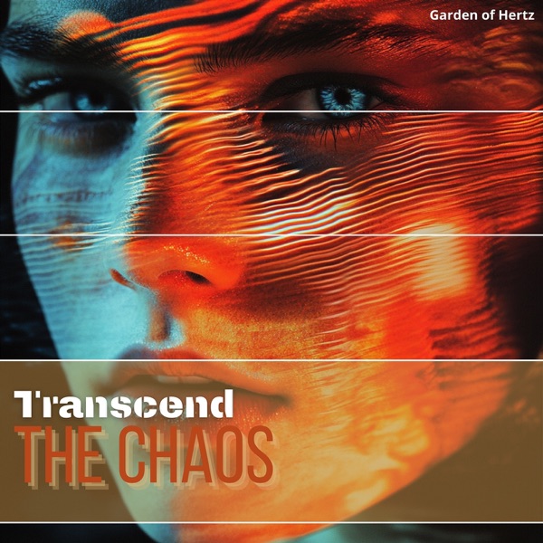 Transcend the Chaos, Be Mindful