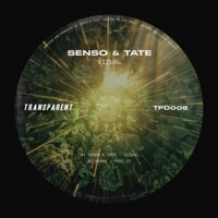 Vizual - Single - Senso & Tate