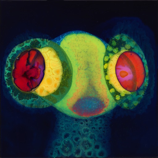 Album artwork