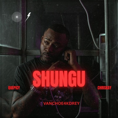 SHUNGU (feat. ChrisKay & QUEPICY) - Single