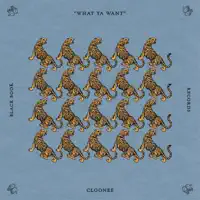 What Ya Want — Cloonee