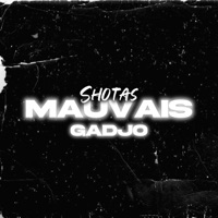 Mauvais gadjo - Single - Shotas