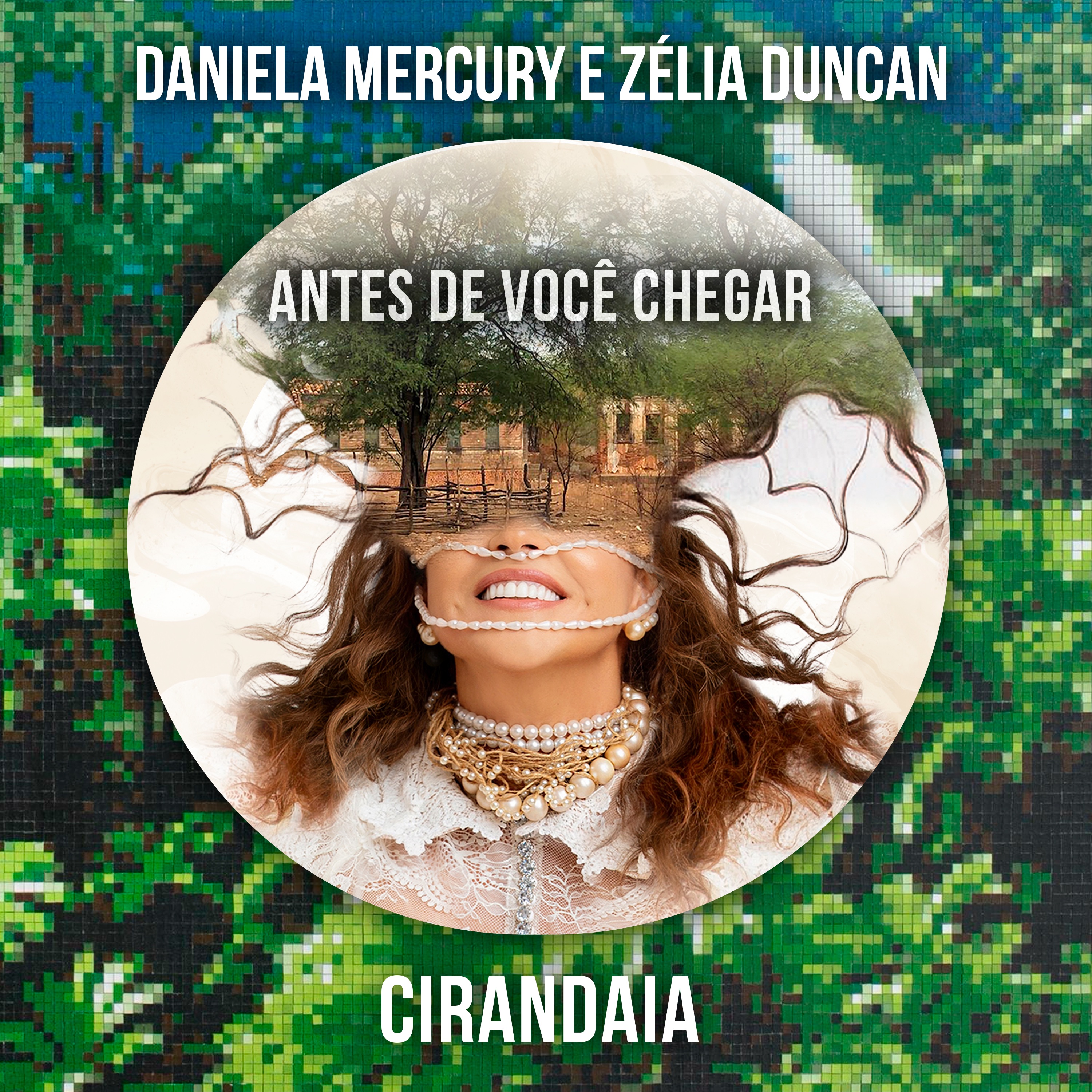 Antes de Você Chegar - Single