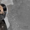 Rover (Neotraffic Remix) - Indigo Man lyrics