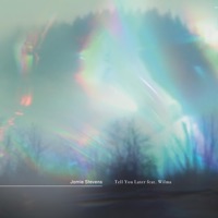 Tell You Later (feat. Wilma (AU)) [The Mixes] - EP - Jamie Stevens