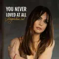 You Never Loved at All
